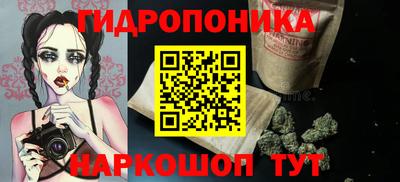 гидра Шахты