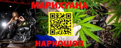 гидра Шахты
