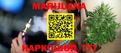 гидра Шахты