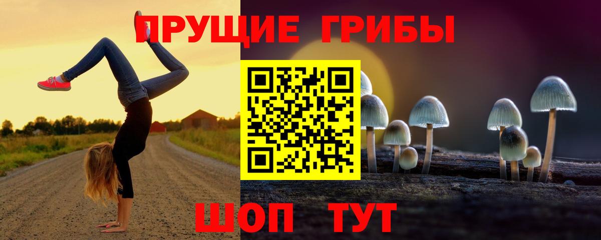 Галлюциногенные грибы ЛСД Новочеркасск